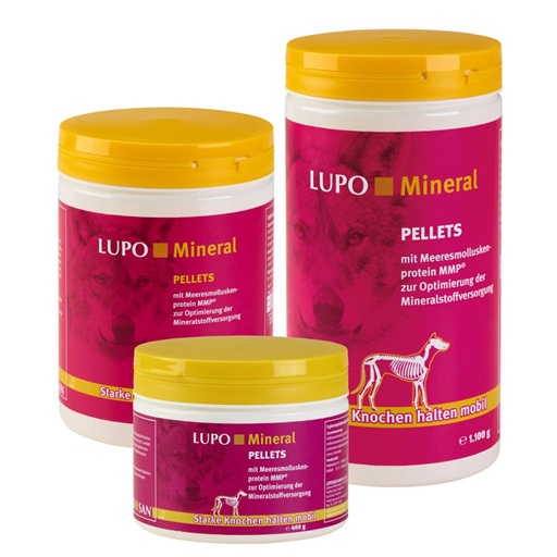 Kopekler icin ek besin 