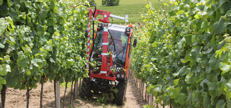 HOLDER BAĞCILIK VE AĞAÇ BAKIM TUTUCULU