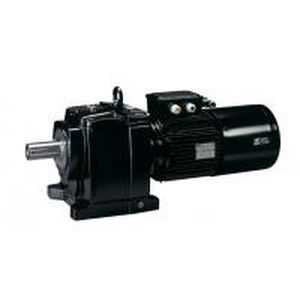 Асинхронный винтовой редуктор (редуктор) -Мотор