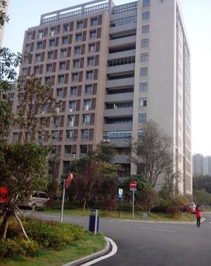 Şirket Görünümü