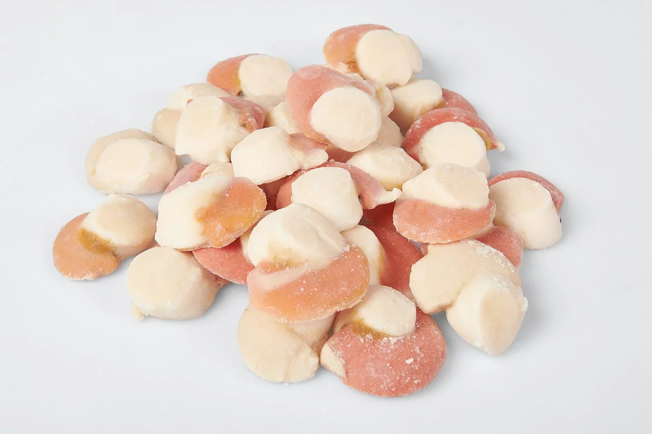 Kabuklu Okyanus Taragi