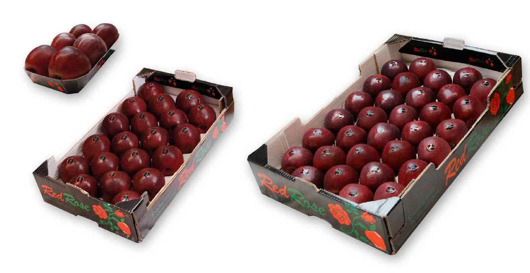 Apple The Reds from Lake Constance