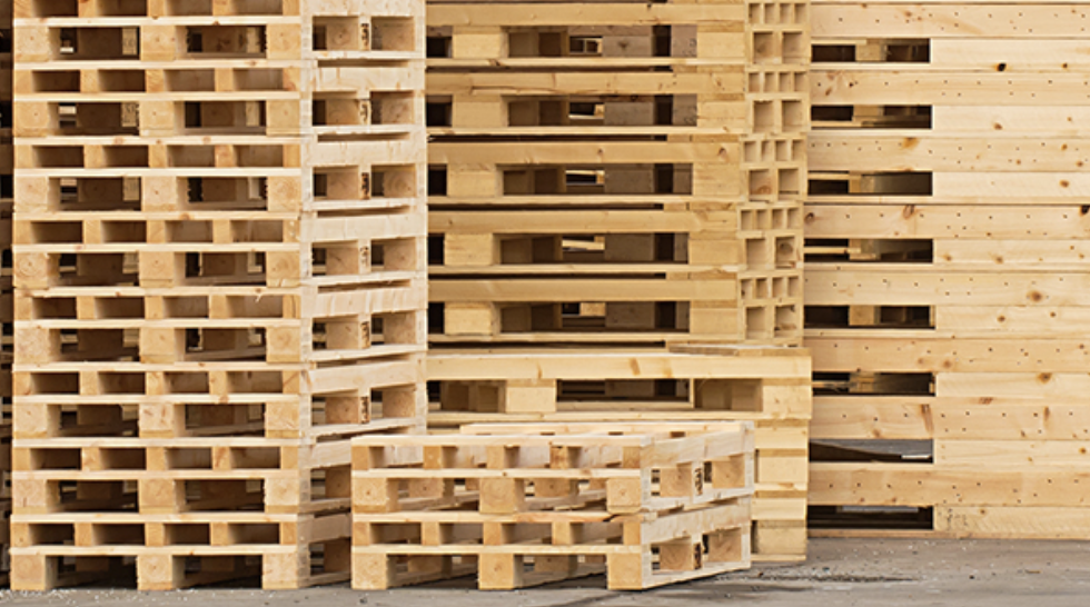 Paletts - Perfect base