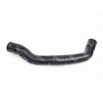 Radiator Hose - 156026