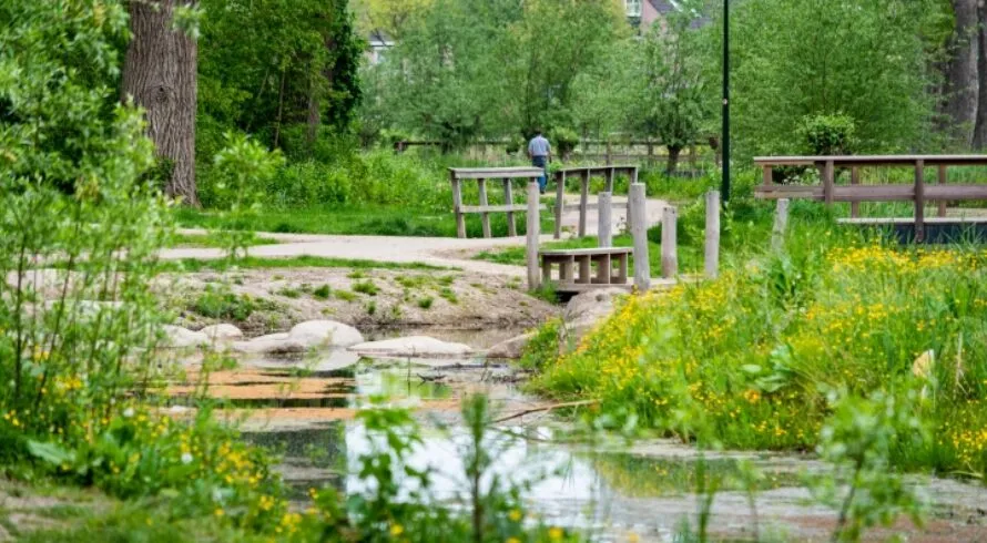 Park bahce yenilenmesi ve duzenlenmesi