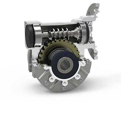Worm gearbox
