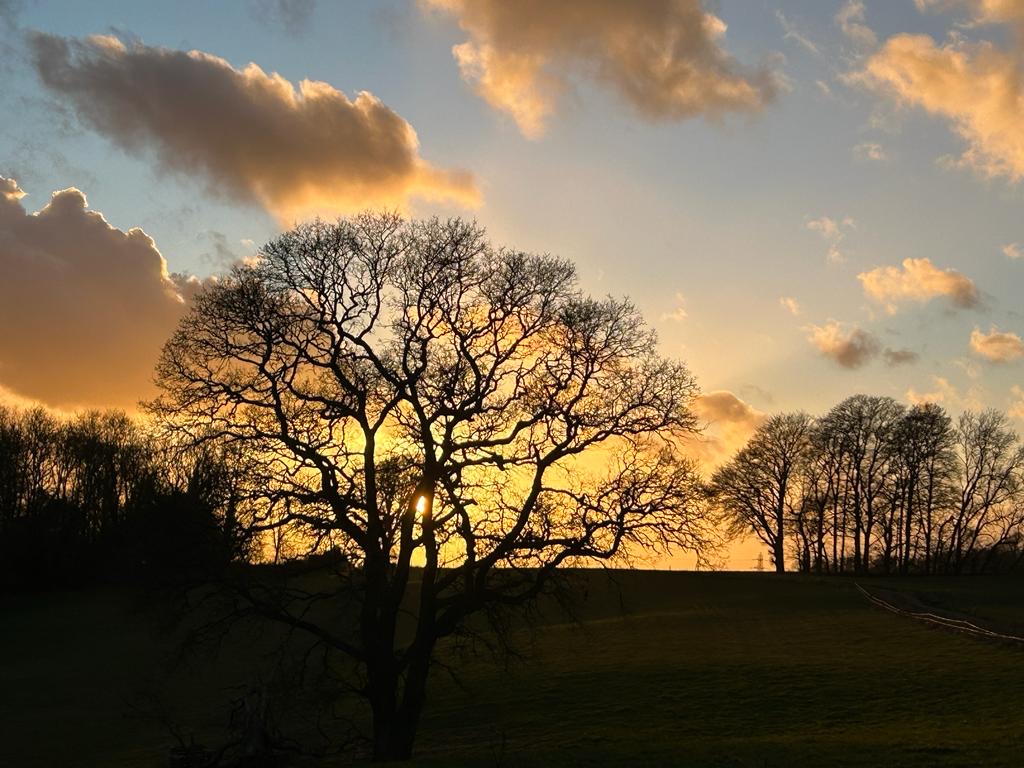 fantásticos viajes y estancias
