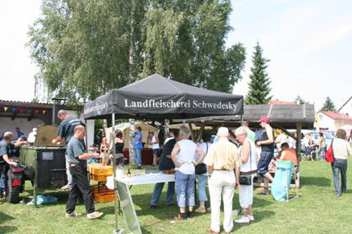 Festival materials and catering services