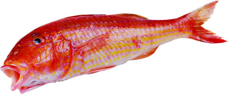 Peixe fresco - Feijão frade