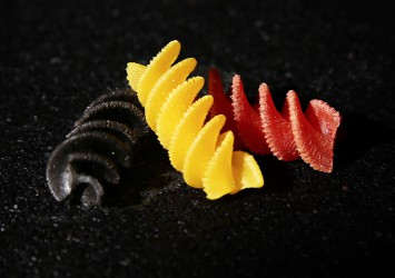 BELGIUM MODEL 3 COLOR ORGANIC PASTA