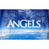 ANGEL LTD.STI