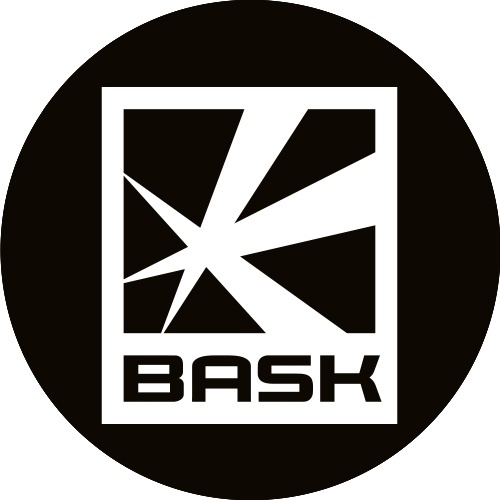 BASK COMPANY LTD