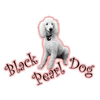 BLACK PEARL DOG