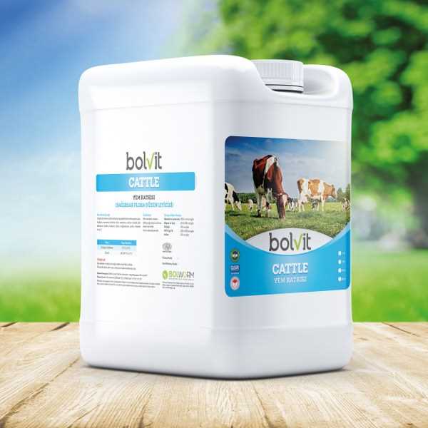 Bolvit Cattle