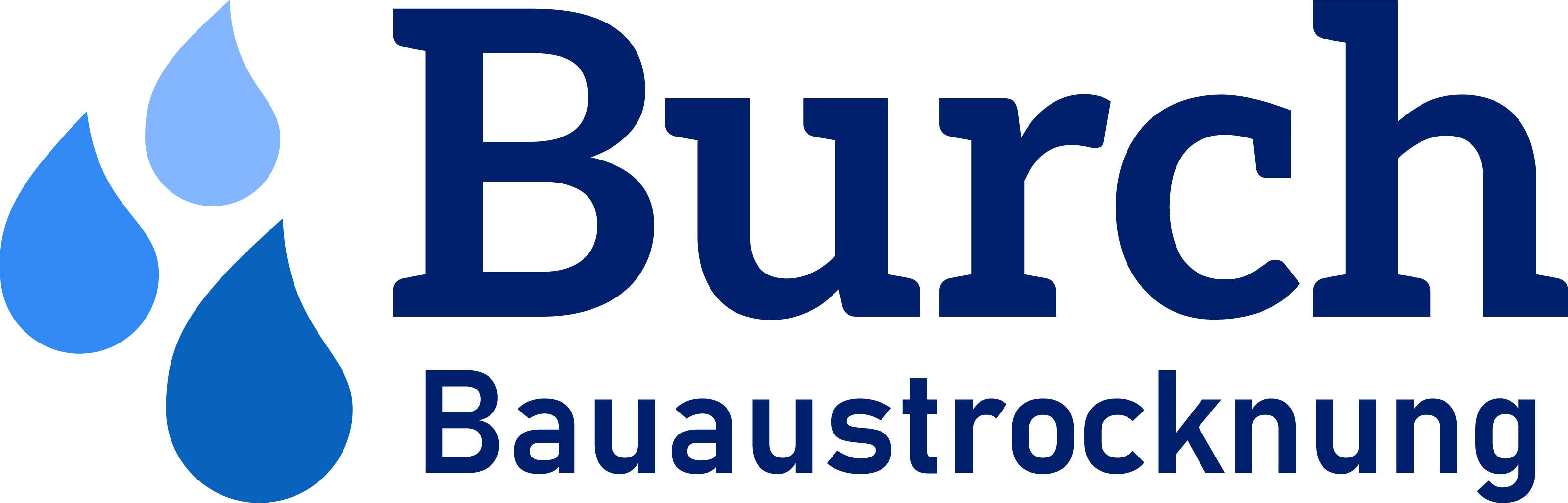 BURCH BAUAUSTROCKNUNG AG