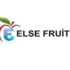 Else Fruit Gida Ihracat Ithalat Sanayi Ve Ticaret Limited şti