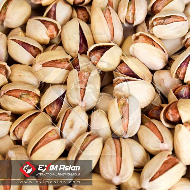 Kaleh Ghochi Pistachio ( Jumbo type )