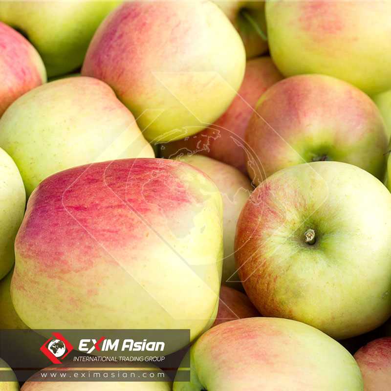 Delcorf Apple ( Delbarestivale Apple )