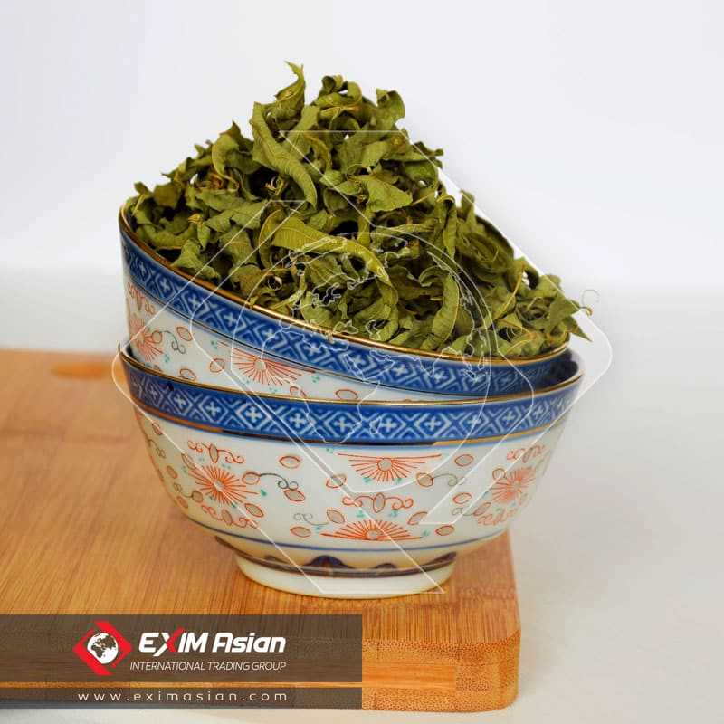 Aloysia Citrodora ( Lemon Verbena )