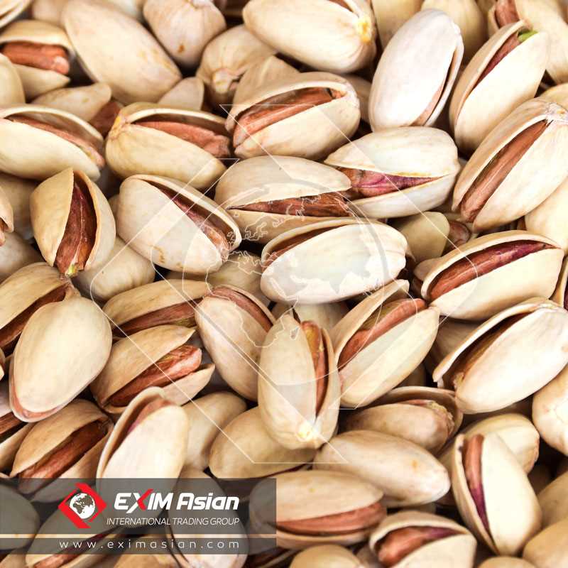 Akbari PIstachio ( Super Long type )