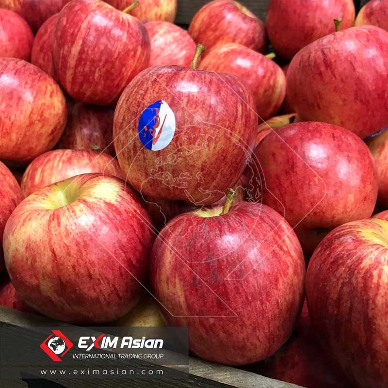 Royal Gala Apple