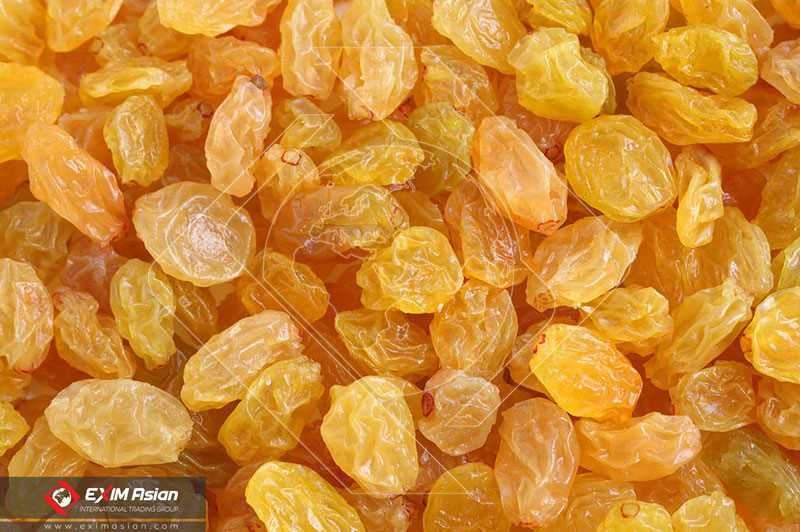 Iranian Golden Raisin