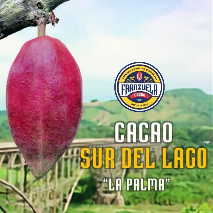 Cacao Sur del Lago