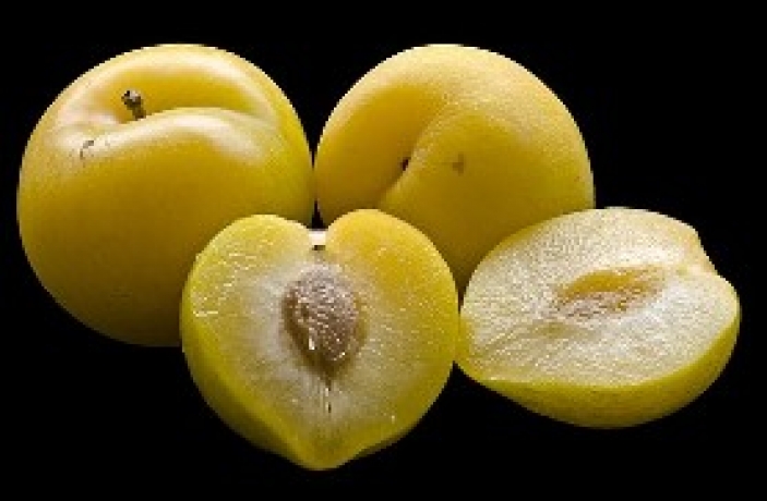 white plums