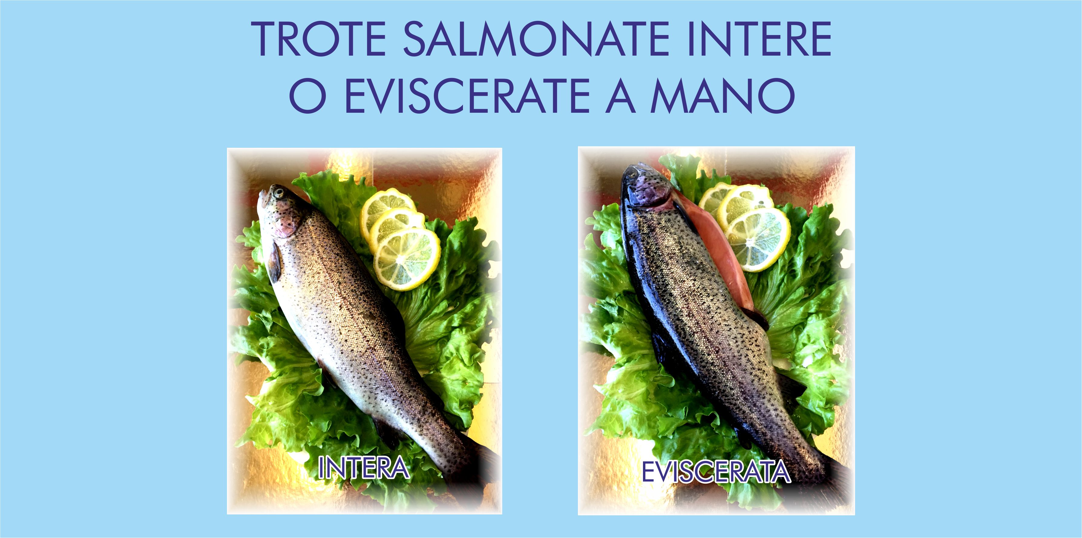 alabalik yetistiriciligi