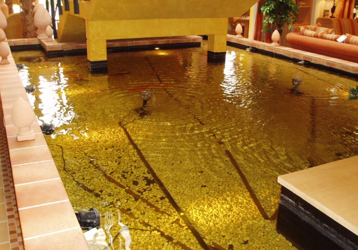 authentiques piscines à débordement