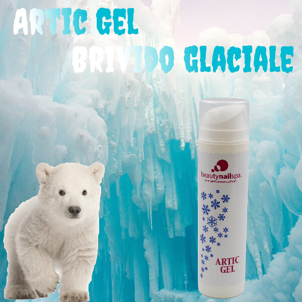  ARTIC GEL 200ML