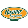 HASNUR CO