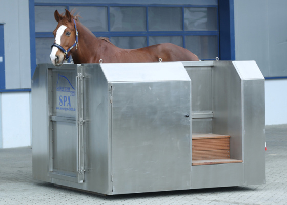 SPA-салон для лошадей