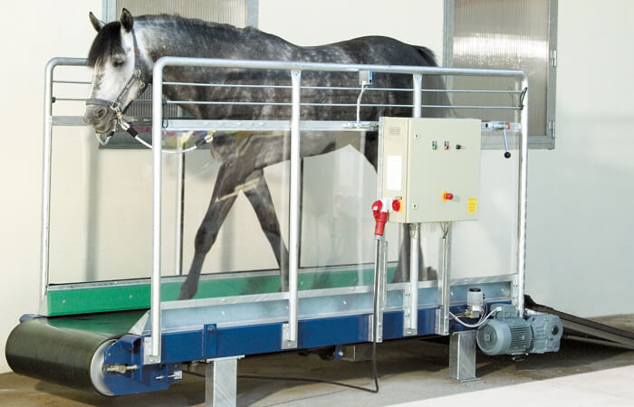treadmill and treadmill for horses