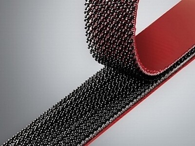 Mantar Icinde Mantar Cirt Cirtli Baglanti Elemani - yapistiricili 