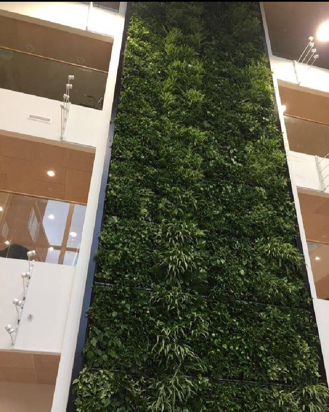 paredes lisas plantadas con plantas de verdad