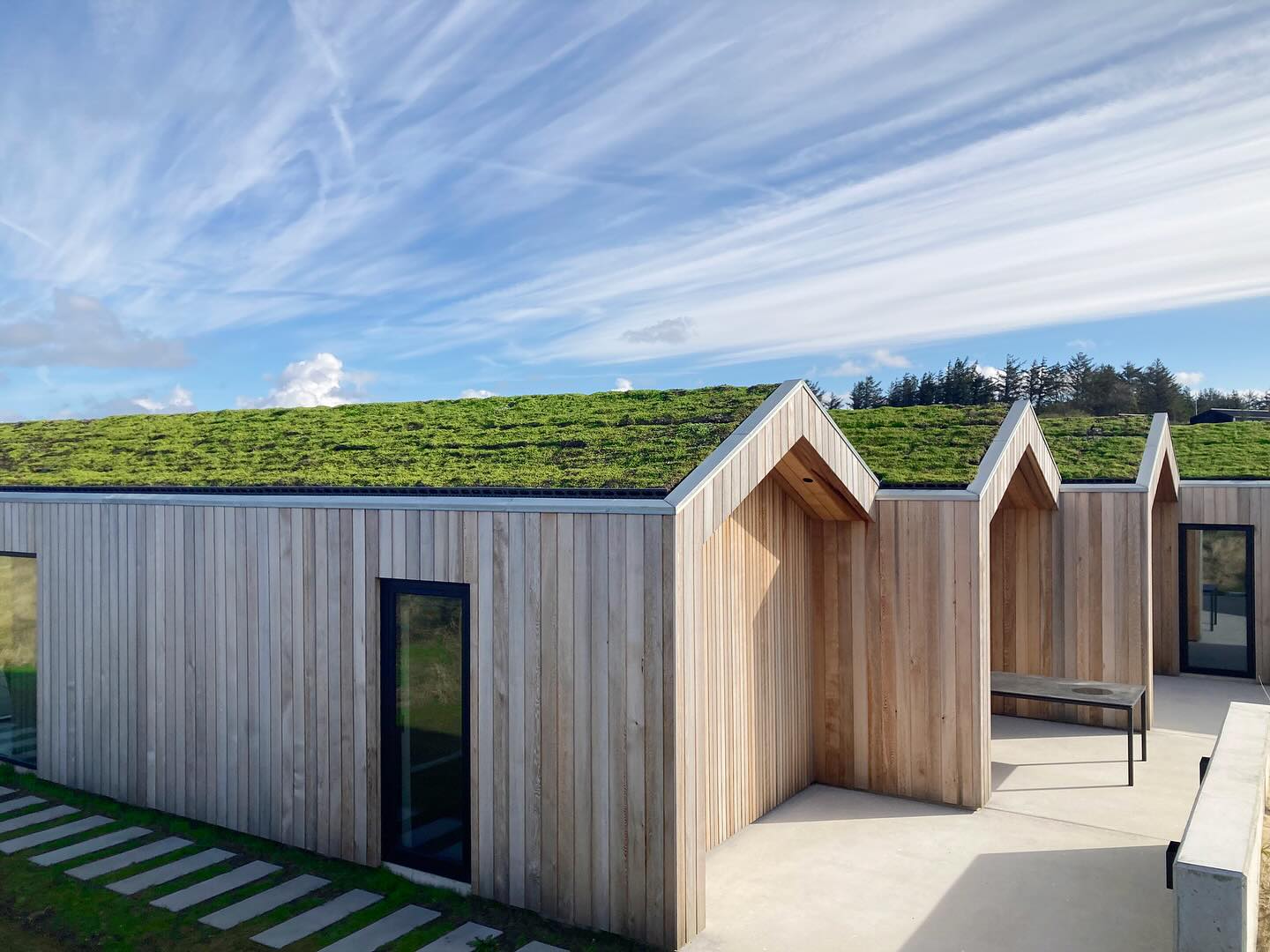 Nature Impact (r) - Sistema de tejados verdes (tejados plantados)