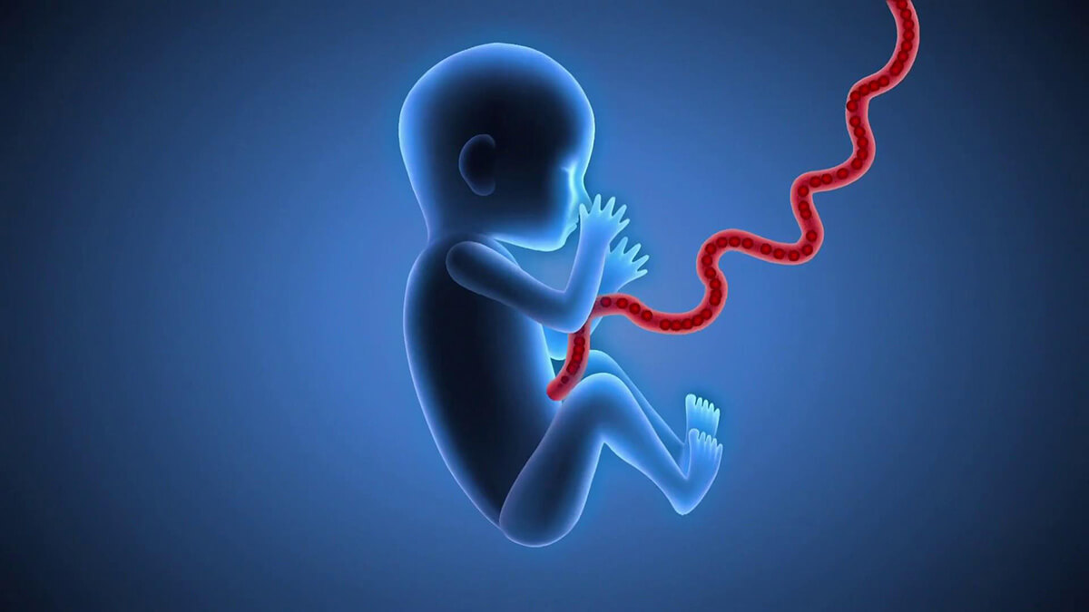 Anne sutu, gobek kordon kani - homeopatik