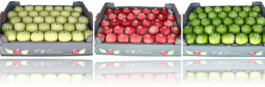 packaging-pomme.png