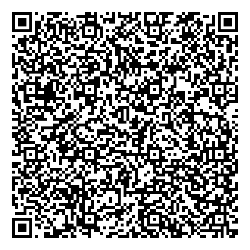 Mini Motor  S.R.L.-qr-code