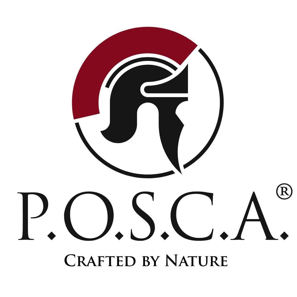 P.O.S.C.A.GmbH