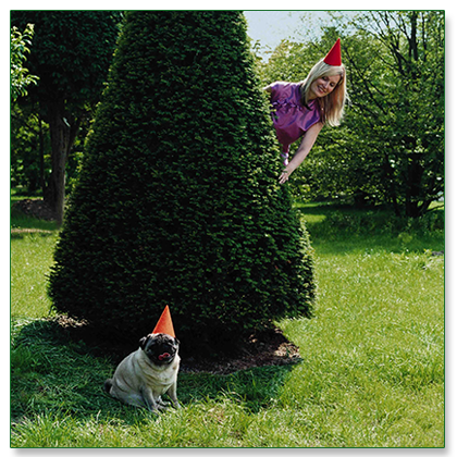 agac bakim ve budama