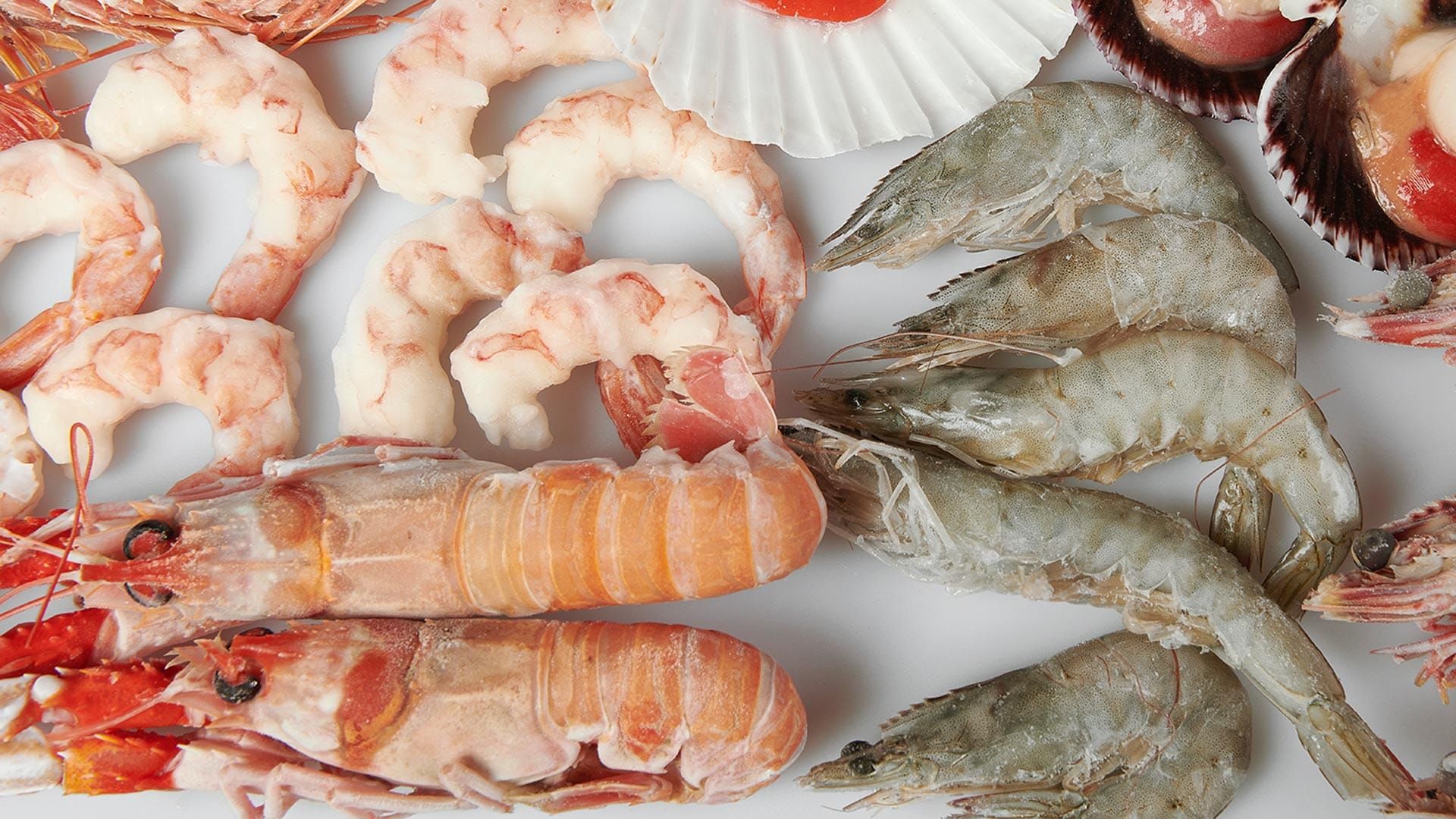 crostacei-royal-fish-78842d8b.jpeg