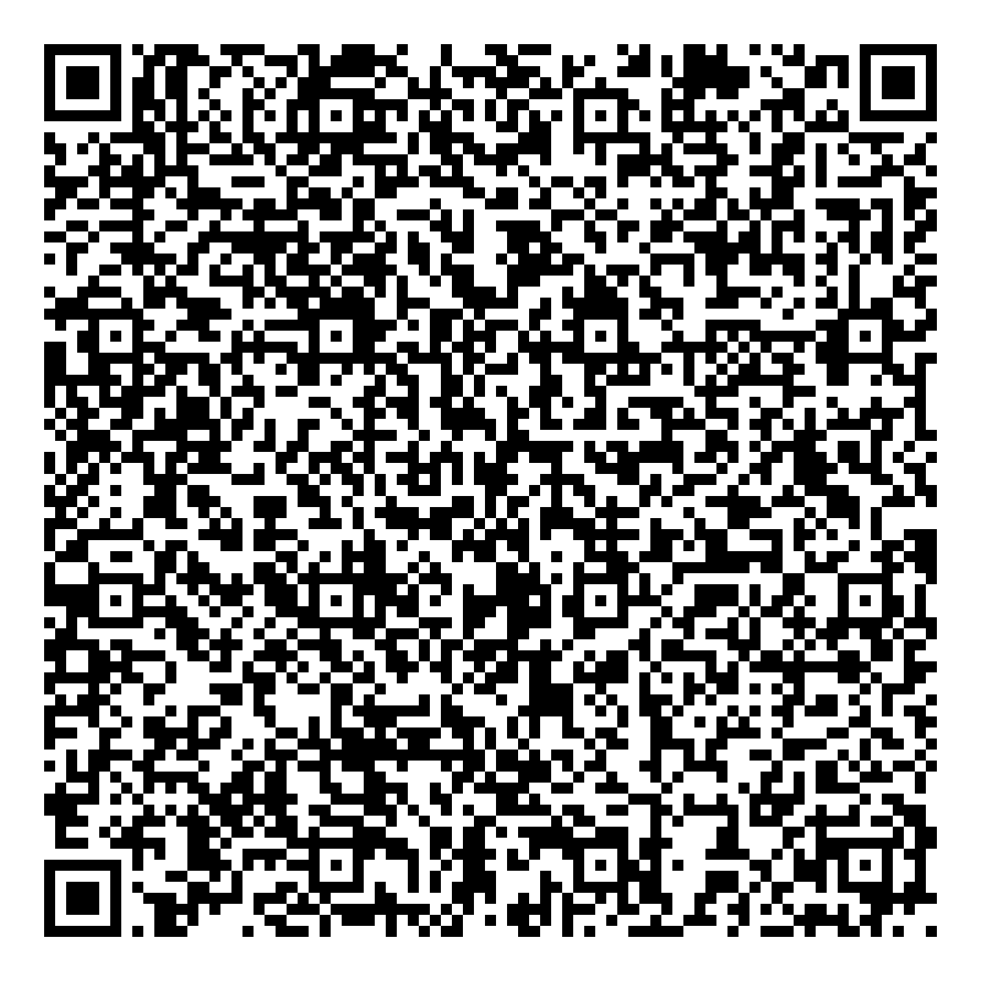 Sinerjika Soluzioni Srl -qr-code