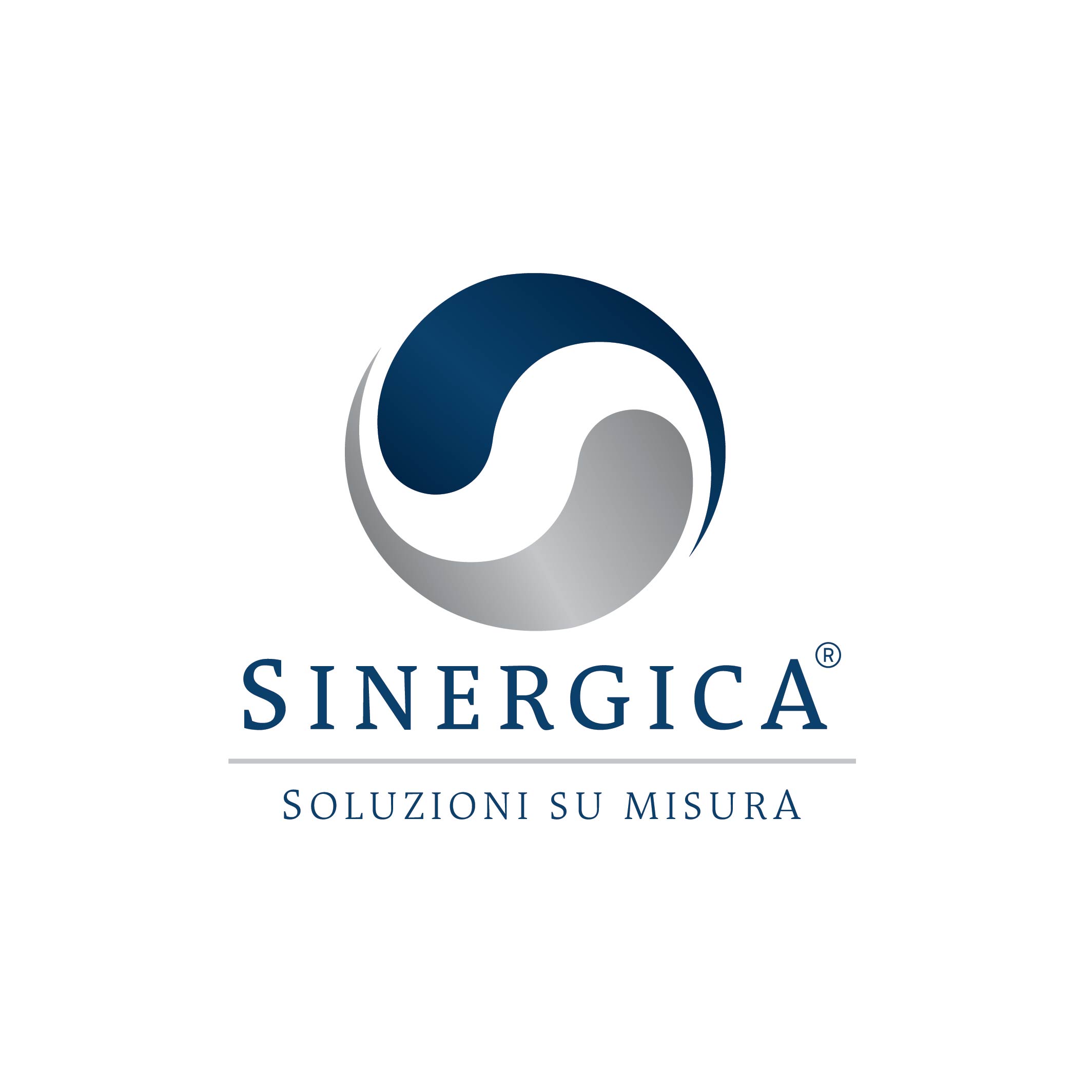 Sinerjika Soluzioni Srl 