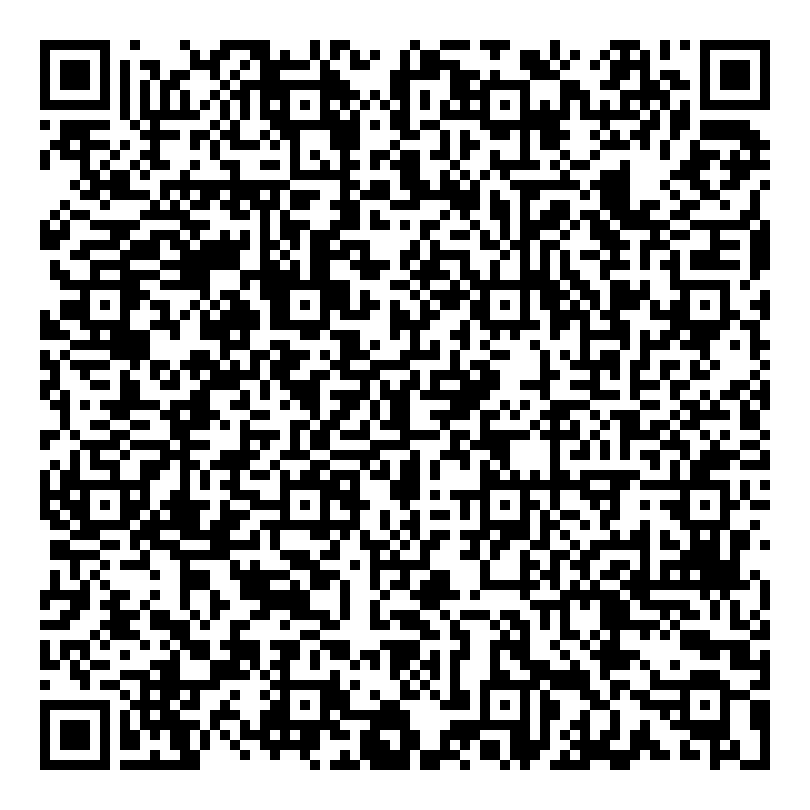 Sintrel Electronic AG-qr-code